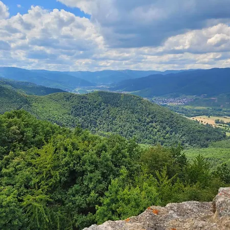 Chaleureux Au Coeur Des Hautes Vosges *