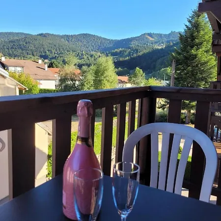 Prázdninový dům Chaleureux Au Coeur Des Hautes Vosges *