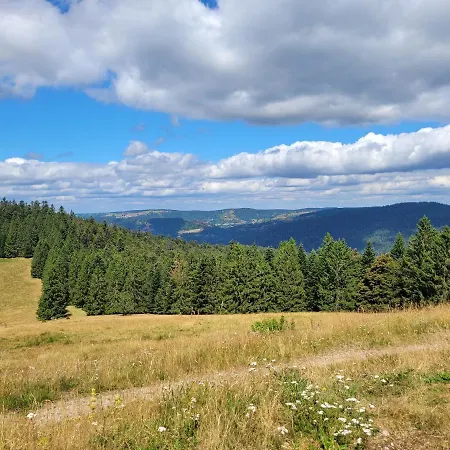 Prázdninový dům Chaleureux Au Coeur Des Hautes Vosges Ventron