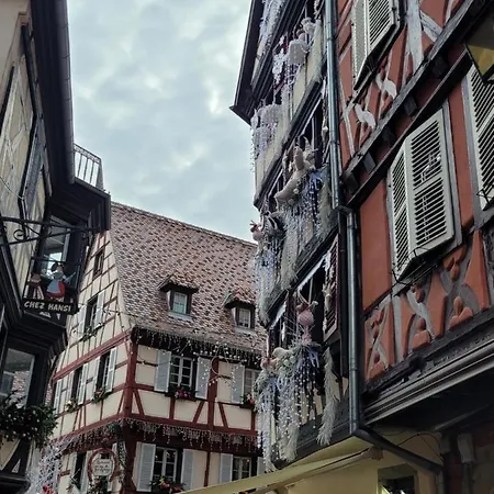 Chaleureux Au Coeur Des Hautes Vosges Prázdninový dům Ventron