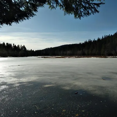 Chaleureux Au Coeur Des Hautes Vosges Prázdninový dům *