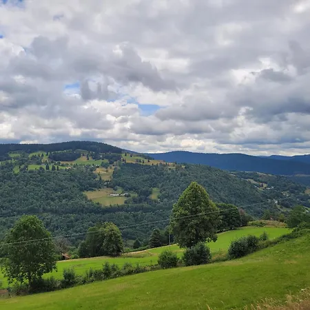Chaleureux Au Coeur Des Hautes Vosges * Ventron