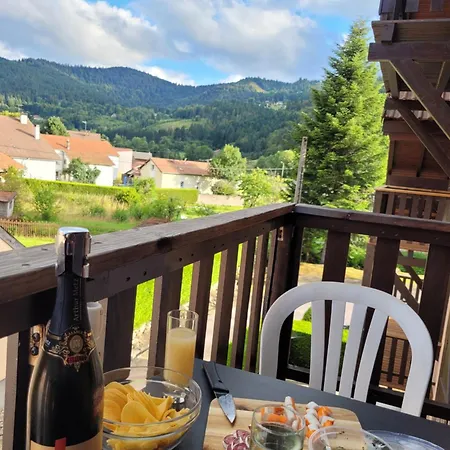 Chaleureux Au Coeur Des Hautes Vosges Ventron
