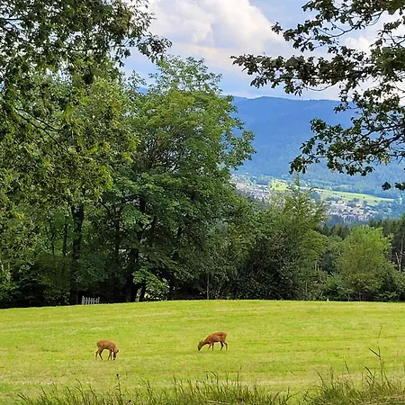 Chaleureux Au Coeur Des Hautes Vosges *